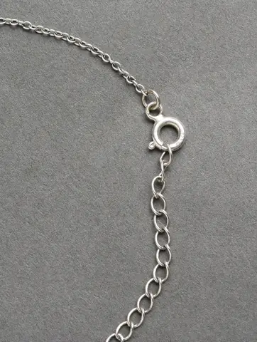 Spring ring clasp and extender chain