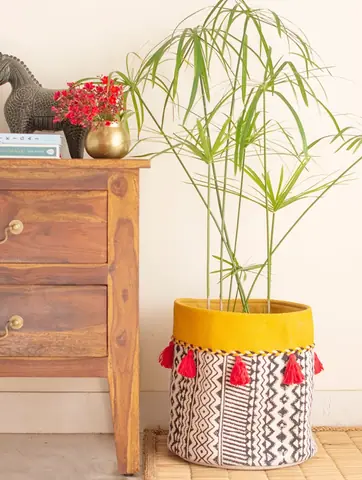 Planter with a plant on a wooden cabinet