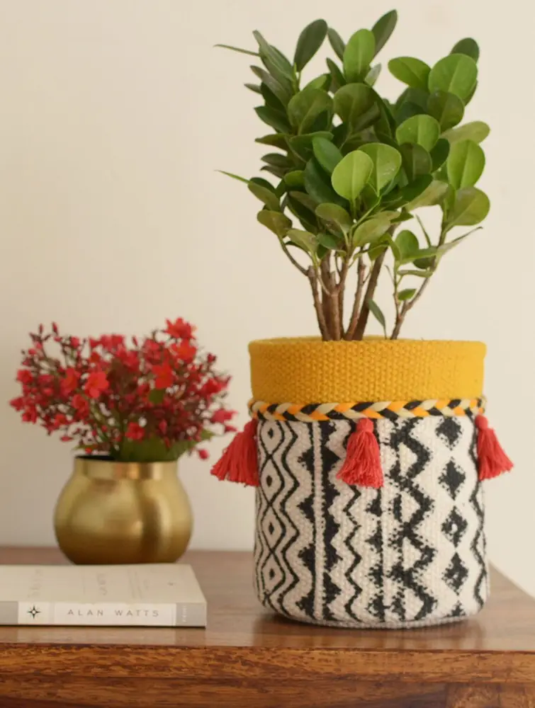 Planter seen from the side with a patterned body